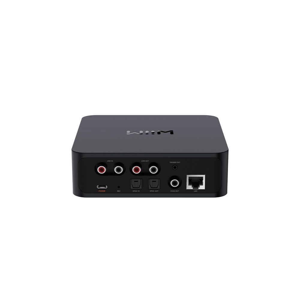 WiiM Pro Plus AirPlay 2 Receiver, Chromecast Audio, Multiroom Streamer with  Premium AKM DAC, Voice Remote, Works with Alexa/Siri/Google, Stream Hi-Res