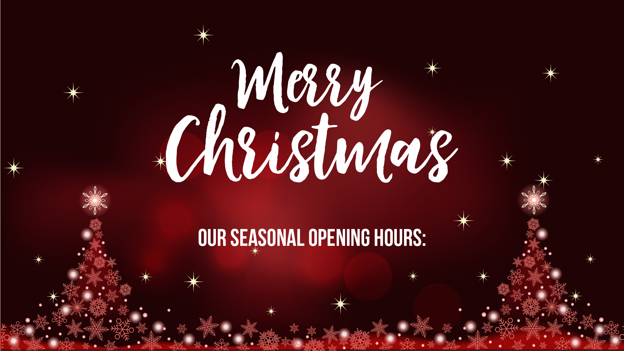 Henley Audio Opening Hours - Christmas 2024